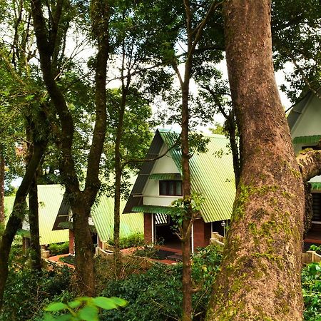 Misty Woods Resort Kakkabe Luaran gambar