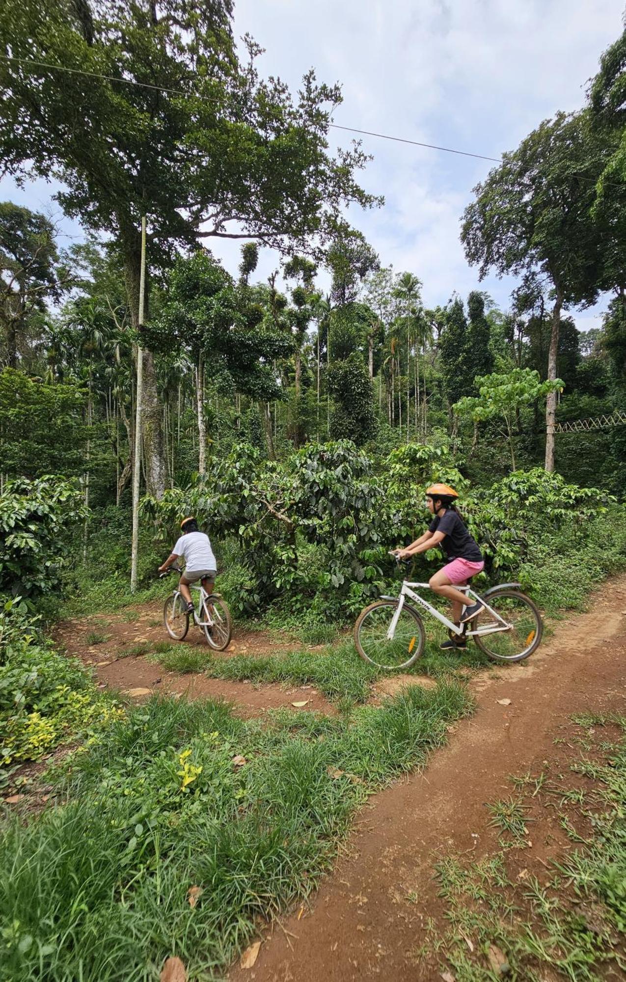 Misty Woods Resort Kakkabe Luaran gambar