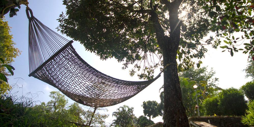 Misty Woods Resort Kakkabe Luaran gambar